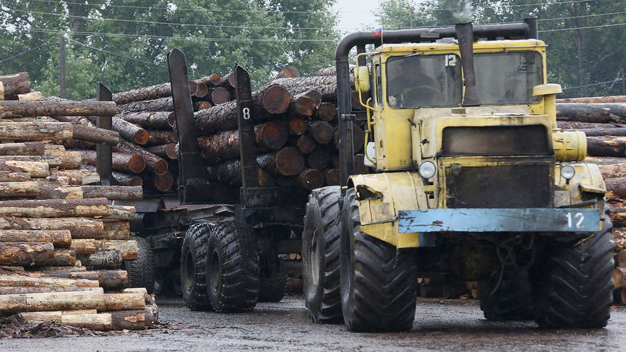 В Литве сообщили о дефиците древесины из-за санкций в отношении России и Белоруссии