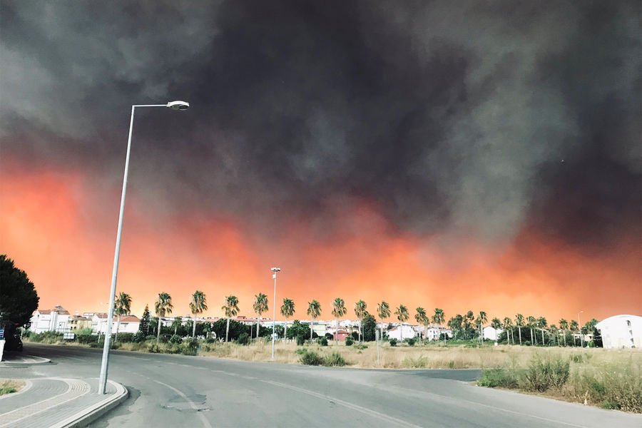 Пожар в&nbsp;лесу в&nbsp;районе города Манавгат, Анталья, 2021 год