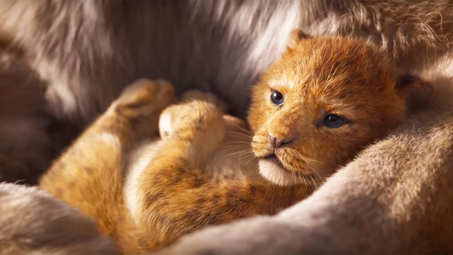 Кадр из фильма «Король лев» (2019)