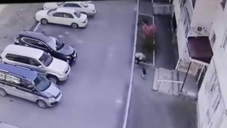 Появилось видео того, как овчарка в Приморском крае насмерть растерзала собаку на руках у хозяйки
