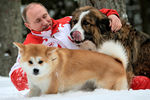 Владимир Путин во время прогулки со своими собаками болгарской овчаркой Баффи и акита-ину Юмэ, 2013 год