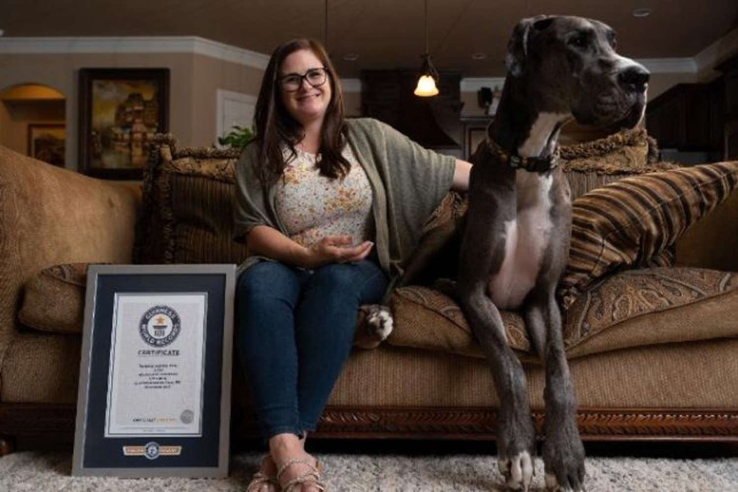 Немецкий дог из США признан самой высокой собакой в мире - Газета.Ru |  Новости