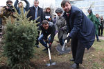 Председатель президиума Верховного совета ДНР Денис Пушилин (справа) во время посадки деревьев на бульваре Пушкина