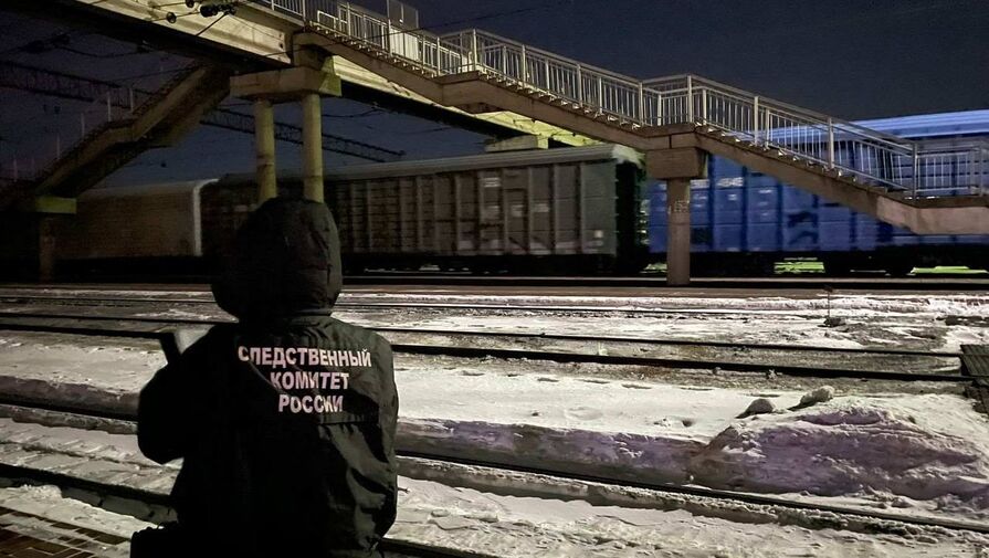 В Нижегородской области электричка насмерть сбила упавшую на пути женщину