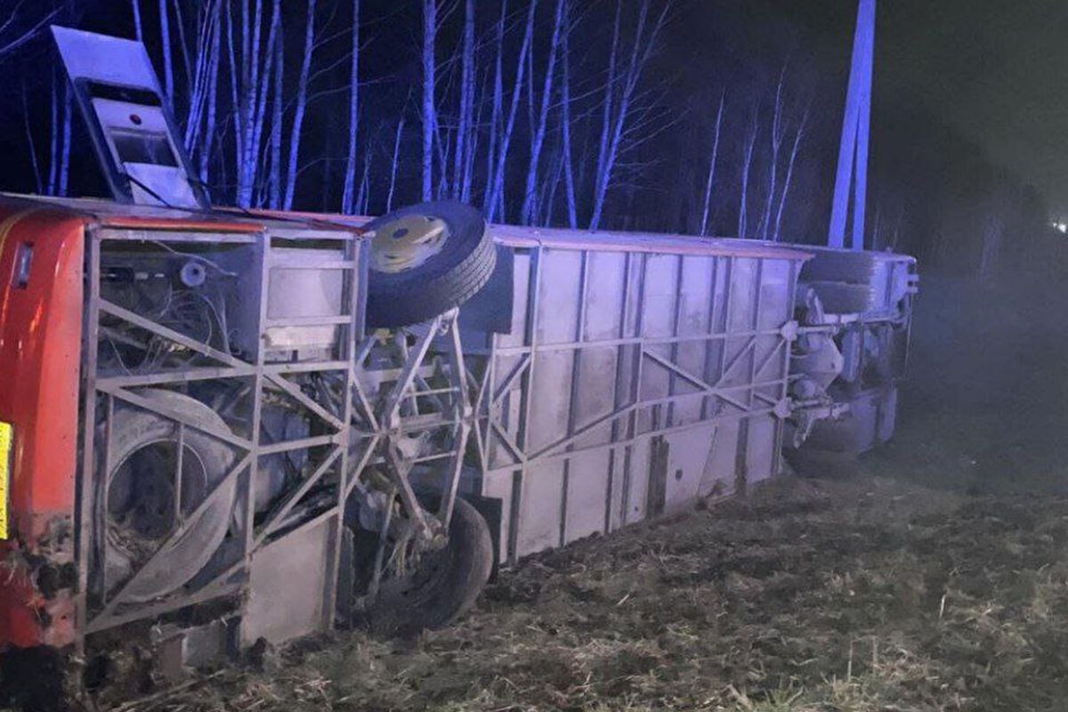 В Ульяновской области произошло ДТП с юными спортсменами - Газета.Ru |  Новости