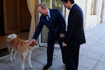 Владимир Путин и премьер-министр Японии Синдзо Абэ во время встречи в резиденции «Бочаров ручей», 2014 год