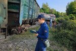 «Разгневать Россию». Как повлияют взрывы в Курской и Брянской областях на ход переговоров