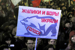 Очень многие принесли самодельные плакаты с надписями «Против партии жуликов и воров», «ТВ, хватить врать», «Россия без Путина» и другие.