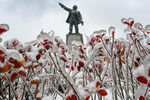 Обледеневшие цветы напротив памятника Ленину во Владивостоке, 20 ноября 2020 года