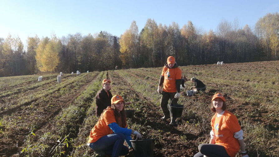 Завершился второй сезон волонтерских стажировок на фермах проекта Минсельхоза