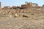 Восстановление древней Пальмиры должно стать международным проектом