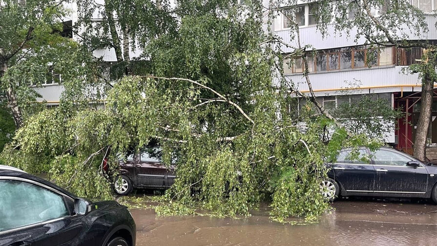 Россиянам объяснили, как вести себя во время урагана