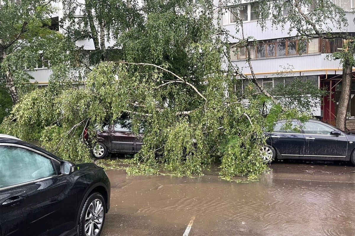 В Москве во время урагана выпала почти половина месячной нормы осадков -  Газета.Ru | Новости