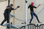 17 августа. Сотрудник полиции преследует сторонницу панк-группы Pussy Riot, перелезающую через забор на территорию посольства Турции в Москве, пытаясь избежать задержания.
