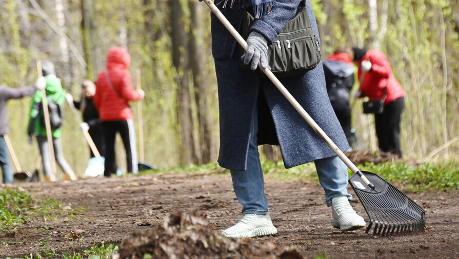Россиянам напомнили о незаконности принудительных весенних субботников
