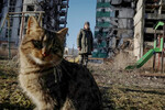 Последствия военных действий в городе Бородянка, 18 февраля 2023 года
