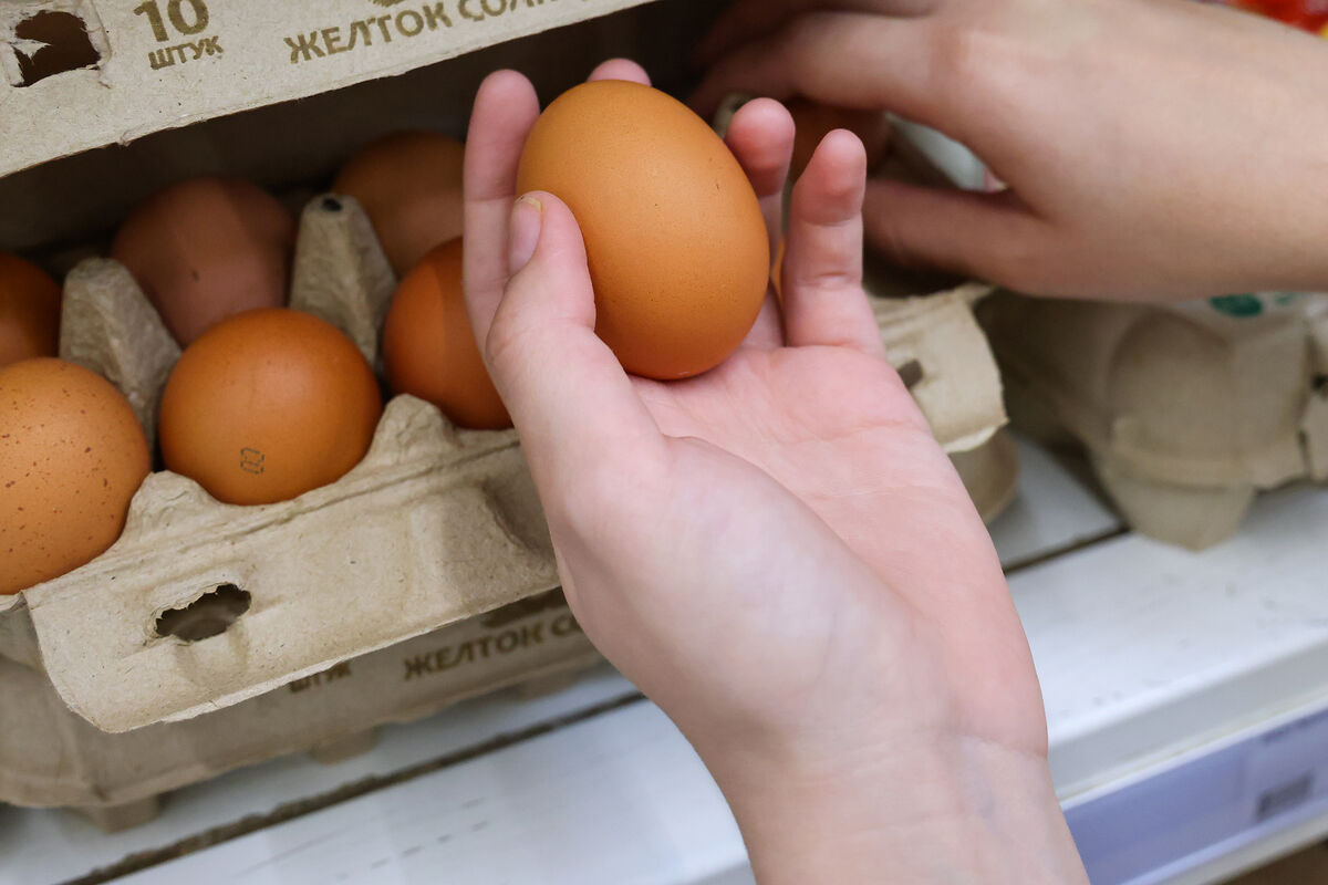 Яйца в России продолжат дорожать в 2023 году