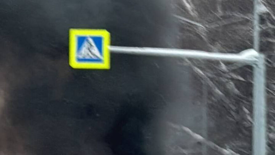 Сгорел дотла: на видео сняли автомобиль, который воспламенился на дороге в Сибири