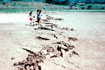 Последствия землетрясения в Гватемале, февраль 1976 года