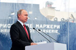 Президент РФ Владимир Путин выступает на церемонии имянаречения арктического танкера-газовоза «Кристоф де Маржери» (ледового класса Arc7), разработанного для проекта «Ямал СПГ», в глубоководном порту «Бронка», 3 июня 2017 года