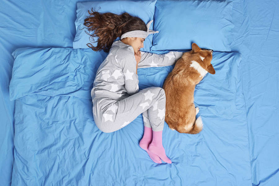 Можно ли спать в одной постели с собакой? Учёные делятся ответом