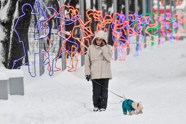 Женщина гуляет с&nbsp;собакой в&nbsp;парке &laquo;Сокольники&raquo; во время снегопада, Москва, 18&nbsp;декабря 2022&nbsp;года