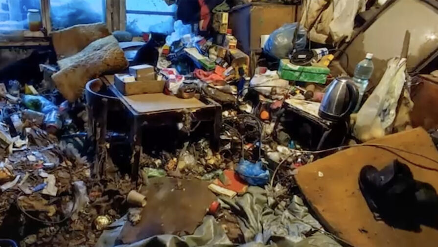 Россиянин с инвалидностью 32 года жил в замусоренной квартире в окружении 29 кошек