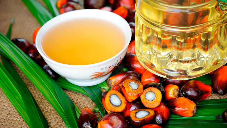 Индонезия ввела запрет на экспорт пальмового масла