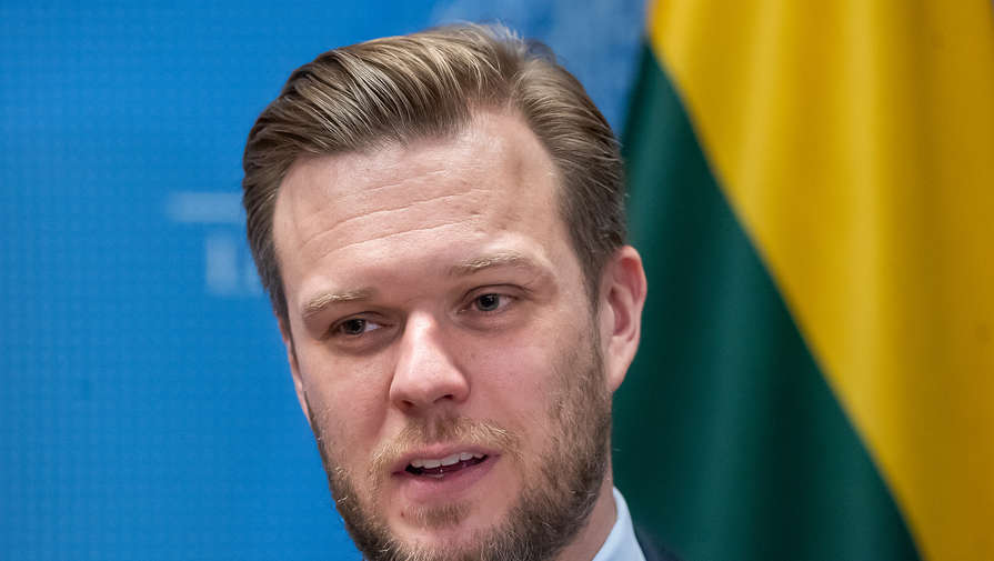 Глава МИД Литвы осудил литовский бизнес за работу в России