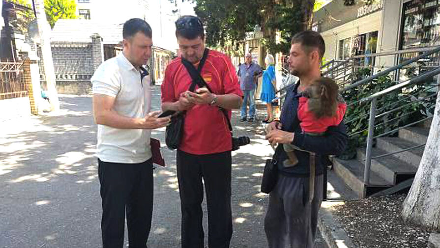 В российском городе прошел рейд против фотографов, использующих животных