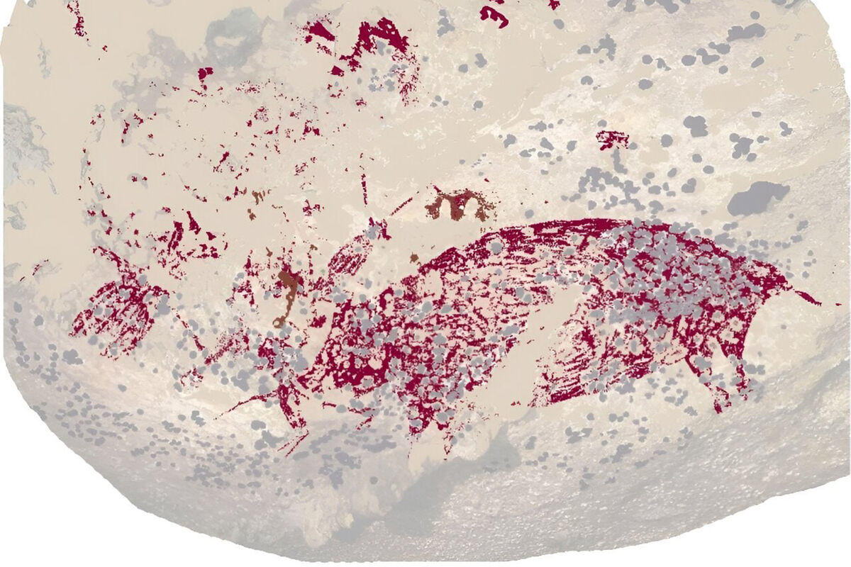Большая красная свинья: ученые нашли древнейший рисунок в мире - Газета.Ru  | Новости