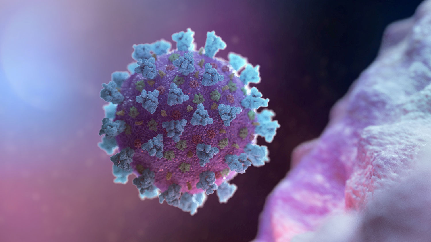 Ученые установили практически неуязвимую для коронавируса ...