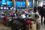 Багаж российских туристов из Египта в аэропорту Домодедово