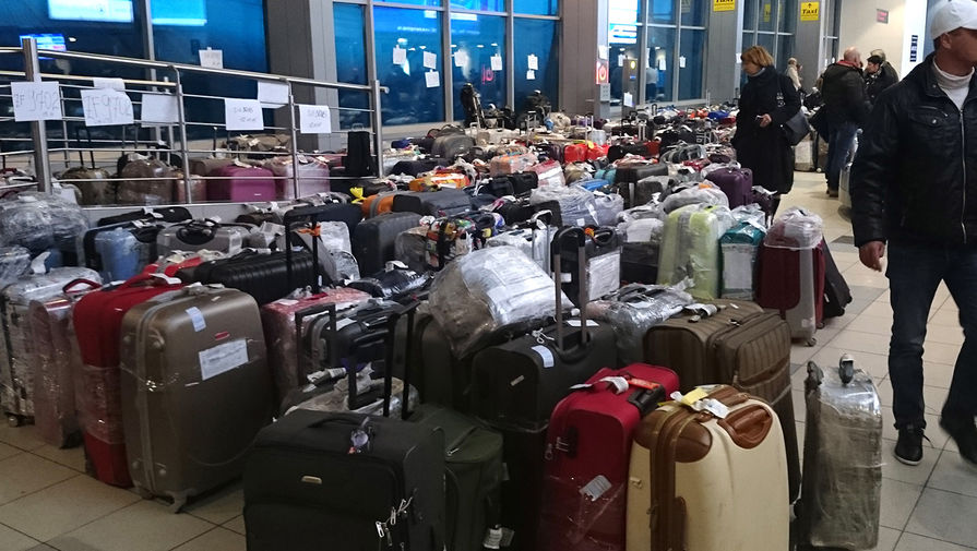 Багаж российских туристов из&nbsp;Египта в&nbsp;аэропорту Домодедово