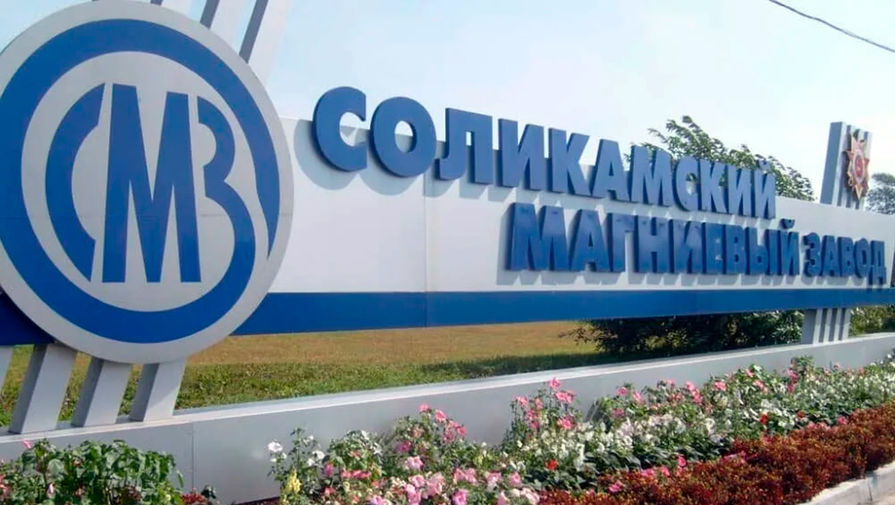 Суд взыскал акции инвесторов Соликамского магниевого завода в пользу РФ