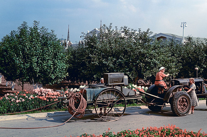 Мичуринский сад на территории ВДНХ, 1954 год
