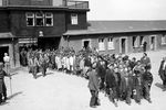 Освобожденные узники концлагеря Бухенвальд по дороге в американский госпиталь, 19 апреля 1945 года