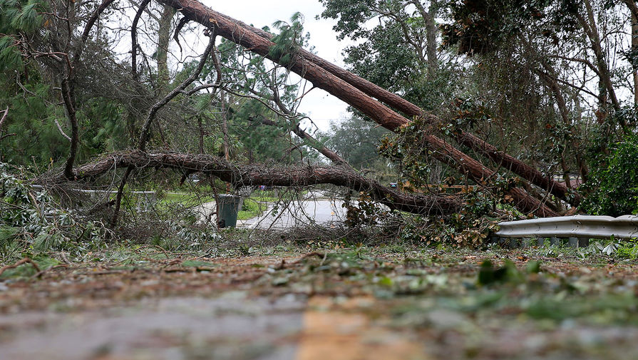 В США не менее четырех человек погибли из-за урагана