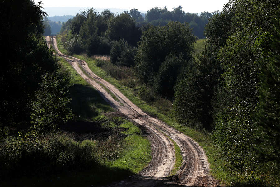 Дорога рядом с польско-литовской границей 