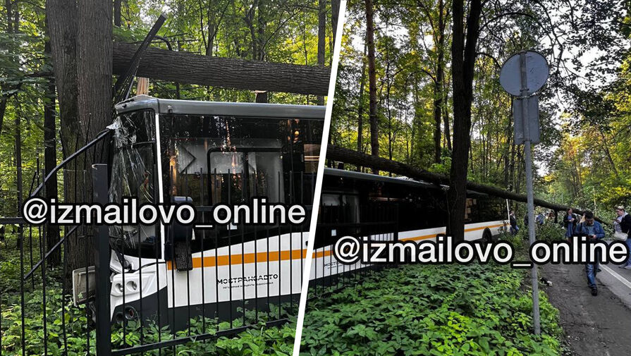 В Измайловском парке в Москве автобус оказался в лесном массиве