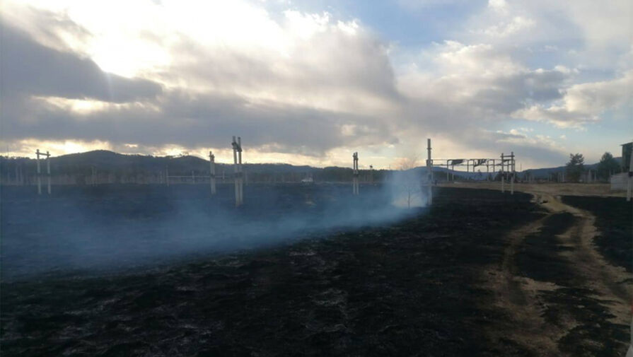 Россиянин выронил сигарету и сжег 150 гектаров травы