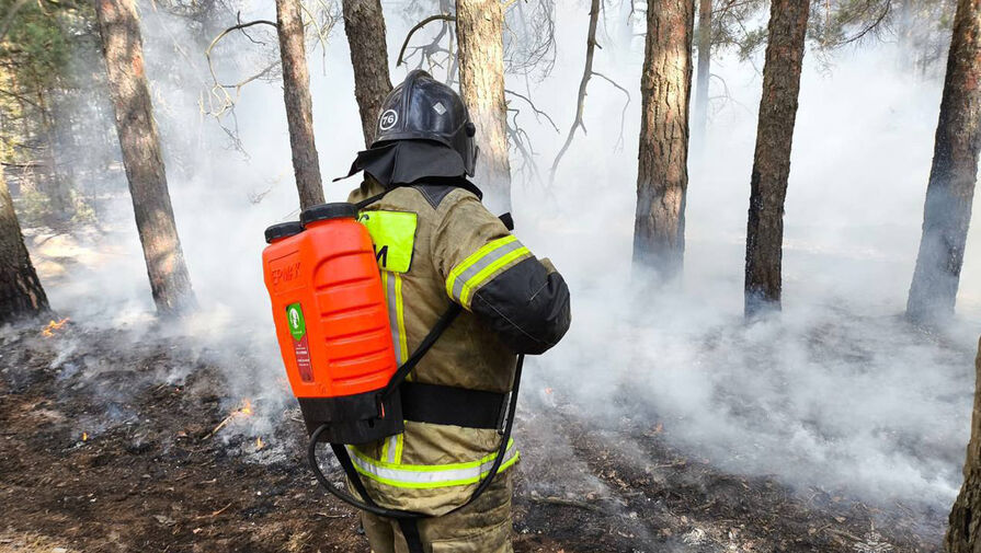 Пожар в Ростовских лесничествах ликвидирован