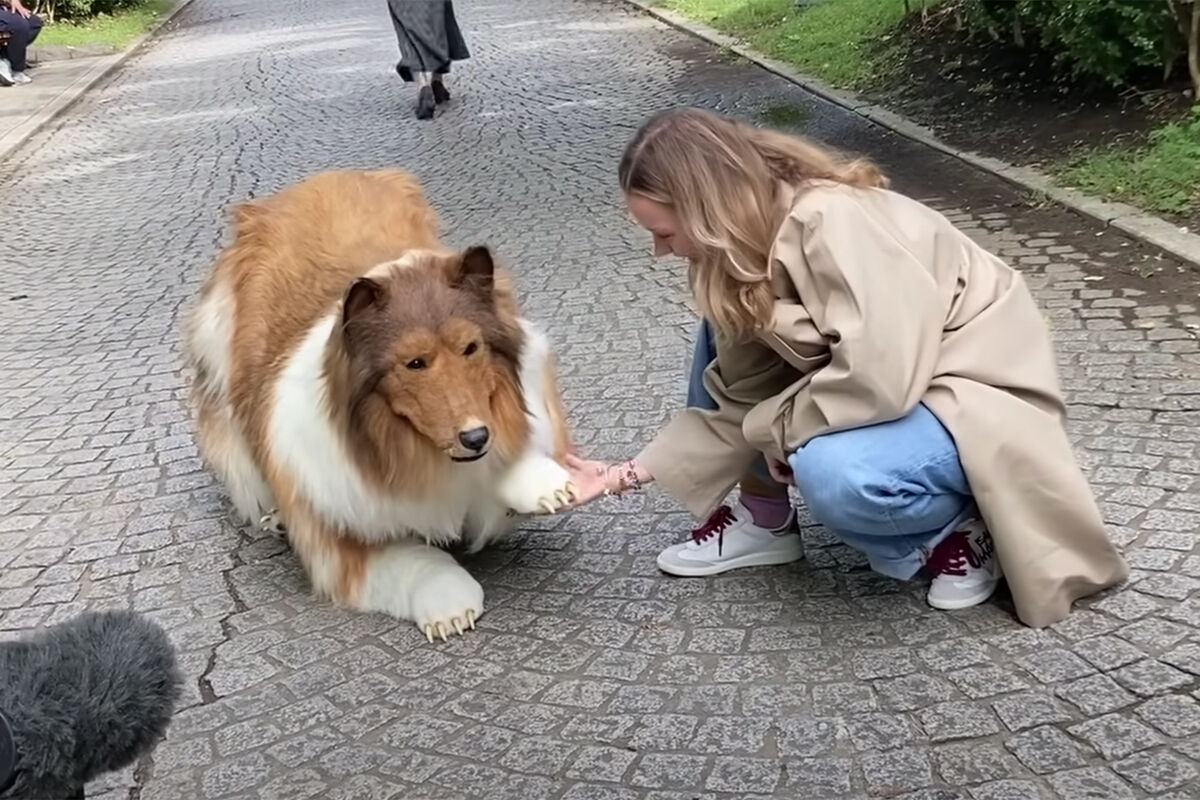 Костюм собаки