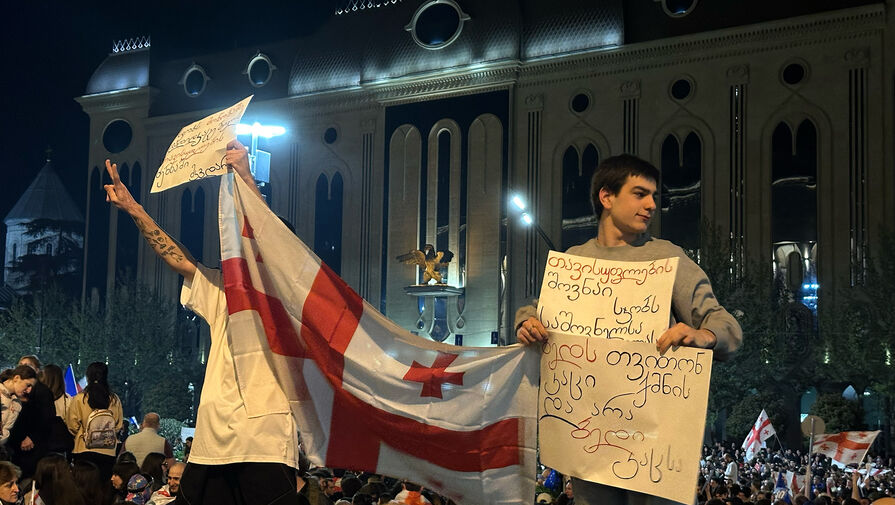 В МВД Грузии заявили, что оппозиция платила участникам протестного митинга за беспорядки