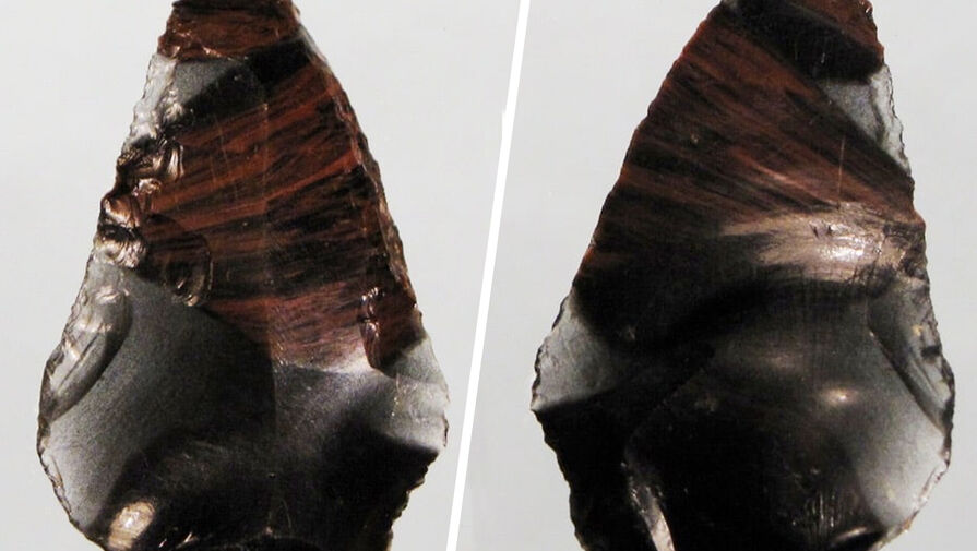 Археологи выяснили, чем скрепляли каменные орудия неандертальцы с Кавказа