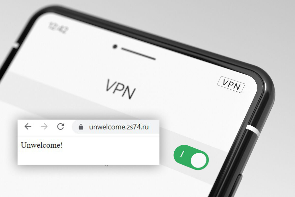 В Общественной палате предупредили об опасности VPN-сервисов - Газета.Ru |  Новости