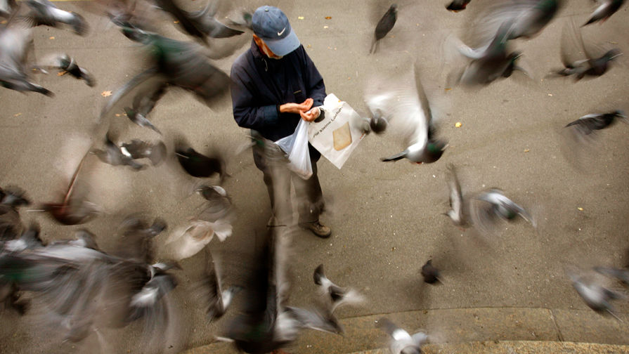 Мужчина и голуби на улице Цюриха, 2007 год