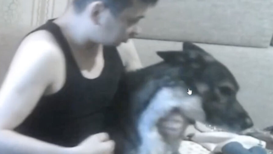 Появилось видео избиения пса блогером из Нижнего Тагила во время трансляции на Twitch