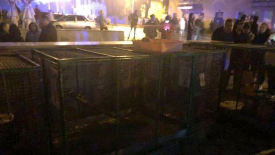 Из горящего ТЦ Меркурий в Уфе спасатели эвакуировали контактный зоопарк