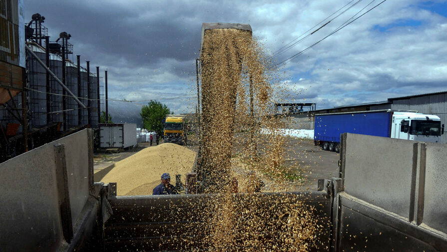 В Минобороны Турции сообщили о продолжении переговоров по продлению зерновой сделки